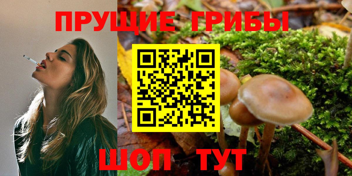 Сарапул  Бошки Шишки  Вход с VPN  Лсд 25  ГАШ  Мефедрон кристаллы 